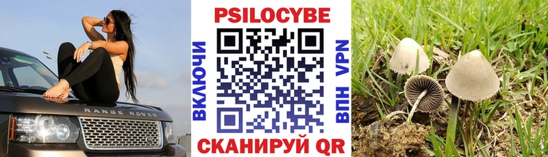 MEGA как войти  Краснокаменск  Галлюциногенные грибы мухоморы  хочу  